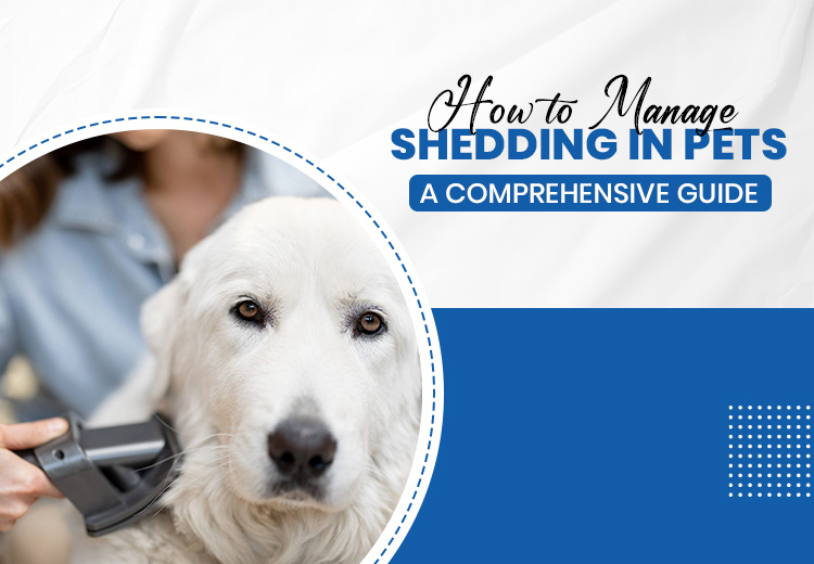 How to Manage Shedding in Pets - A Comprehensive Guide